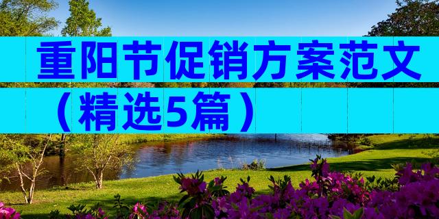 重阳节促销方案范文（精选5篇）