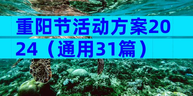 重阳节活动方案2024（通用31篇）