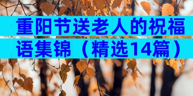 重阳节送老人的祝福语集锦（精选14篇）