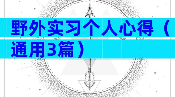 野外实习个人心得（通用3篇）