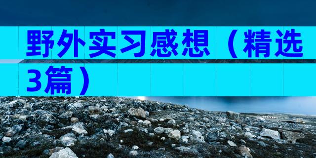 野外实习感想（精选3篇）