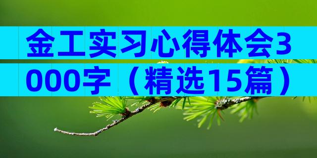 金工实习心得体会3000字（精选15篇）