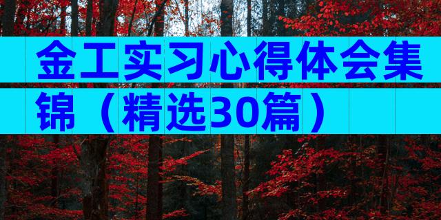 金工实习心得体会集锦（精选30篇）