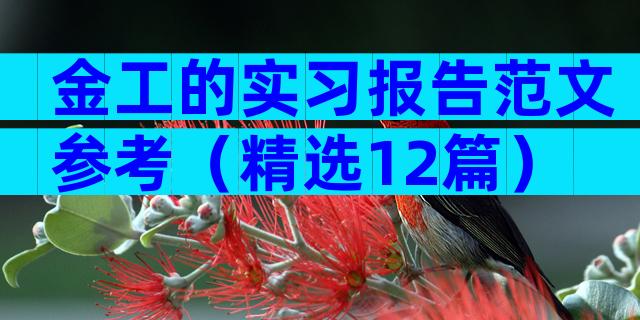 金工的实习报告范文参考（精选12篇）
