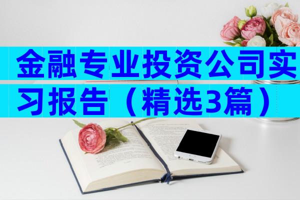 金融专业投资公司实习报告（精选3篇）