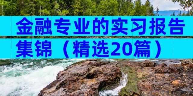 金融专业的实习报告集锦（精选20篇）