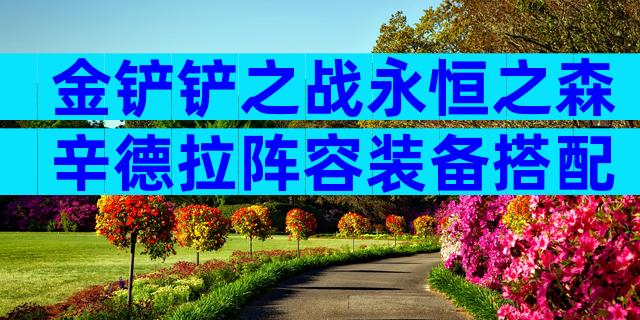 金铲铲之战永恒之森辛德拉阵容装备搭配