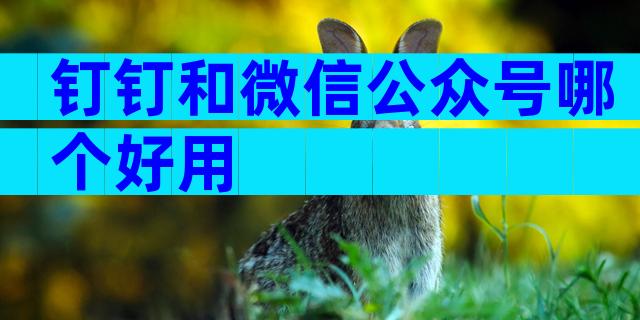 钉钉和微信公众号哪个好用