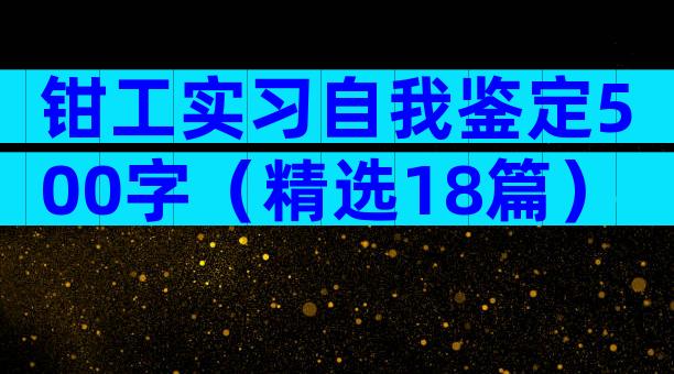 钳工实习自我鉴定500字（精选18篇）