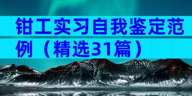 钳工实习自我鉴定范例（精选31篇）