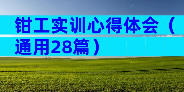 钳工实训心得体会（通用28篇）