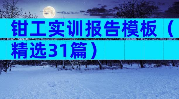 钳工实训报告模板（精选31篇）
