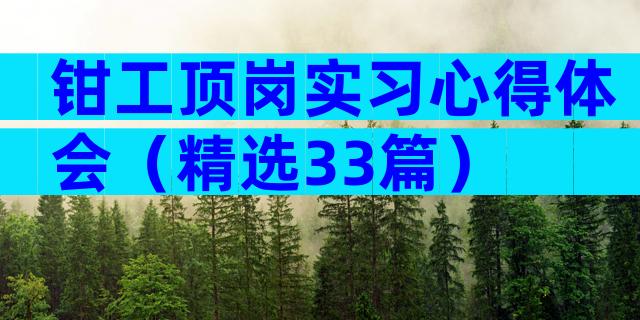 钳工顶岗实习心得体会（精选33篇）