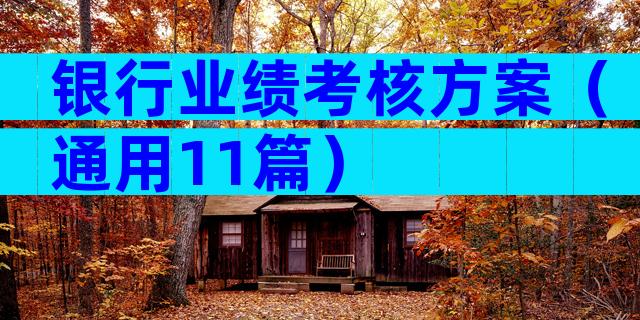 银行业绩考核方案（通用11篇）