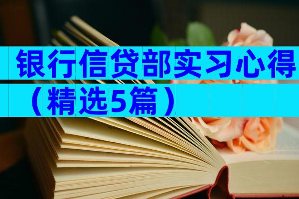 银行信贷部实习心得（精选5篇）