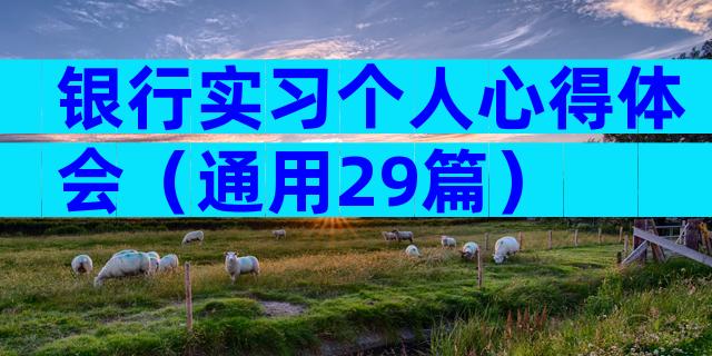 银行实习个人心得体会（通用29篇）