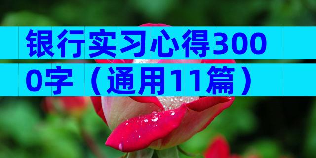 银行实习心得3000字（通用11篇）