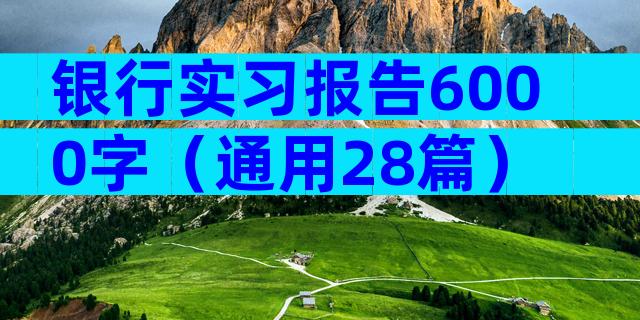 银行实习报告6000字（通用28篇）