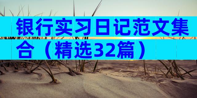 银行实习日记范文集合（精选32篇）