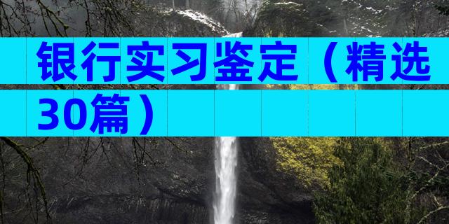 银行实习鉴定（精选30篇）