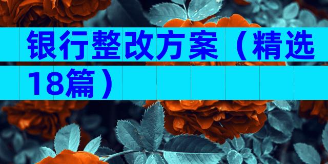 银行整改方案（精选18篇）