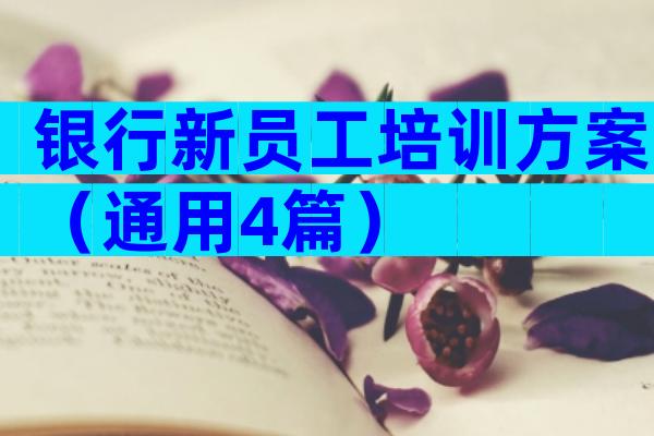 银行新员工培训方案（通用4篇）