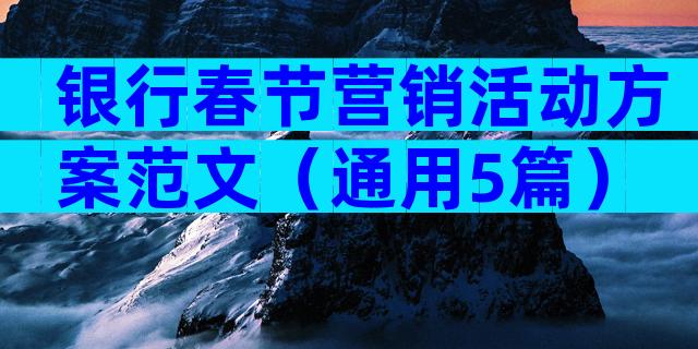 银行春节营销活动方案范文（通用5篇）