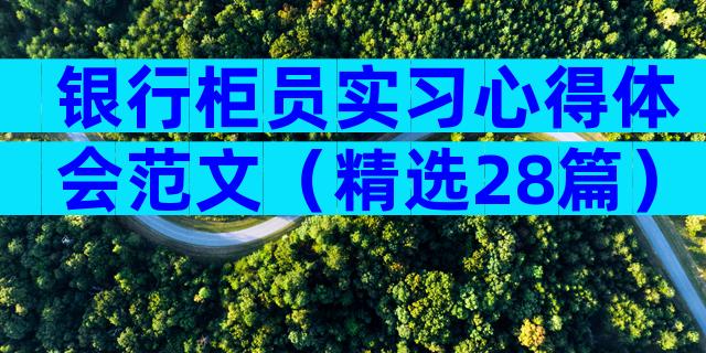 银行柜员实习心得体会范文（精选28篇）