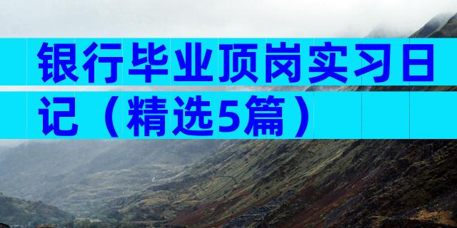 银行毕业顶岗实习日记（精选5篇）