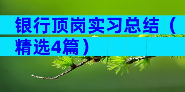 银行顶岗实习总结（精选4篇）