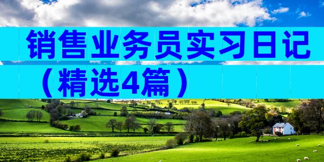 销售业务员实习日记（精选4篇）