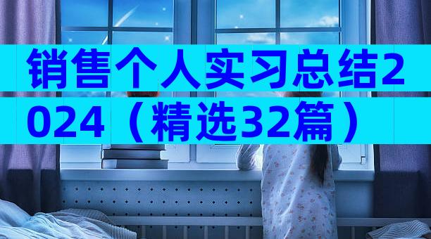 销售个人实习总结2024（精选32篇）