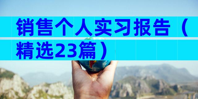 销售个人实习报告（精选23篇）