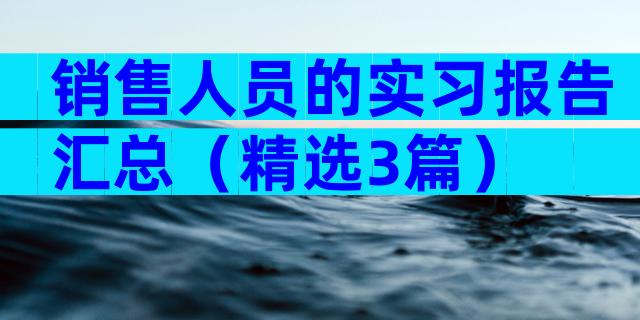 销售人员的实习报告汇总（精选3篇）