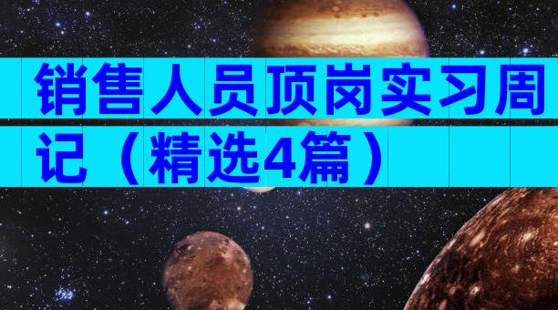 销售人员顶岗实习周记（精选4篇）
