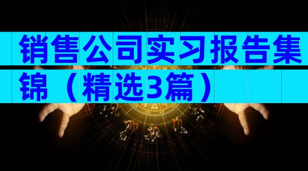 销售公司实习报告集锦（精选3篇）