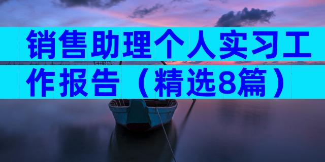 销售助理个人实习工作报告（精选8篇）