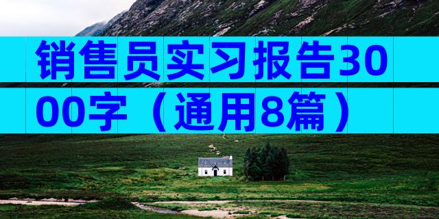 销售员实习报告3000字（通用8篇）