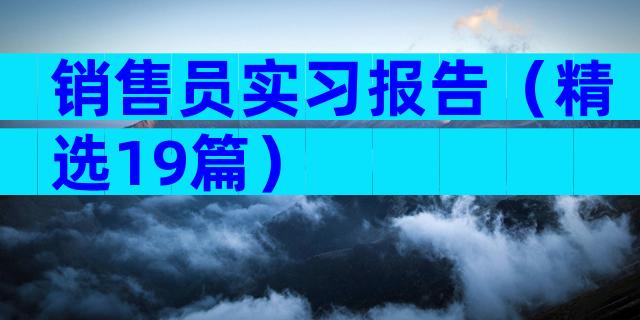 销售员实习报告（精选19篇）