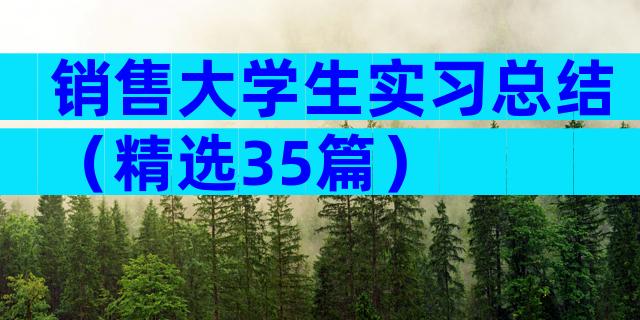 销售大学生实习总结（精选35篇）