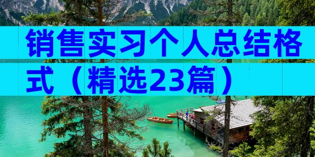 销售实习个人总结格式（精选23篇）
