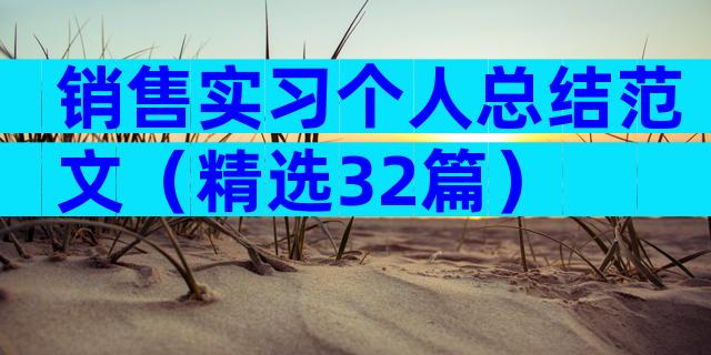 销售实习个人总结范文（精选32篇）