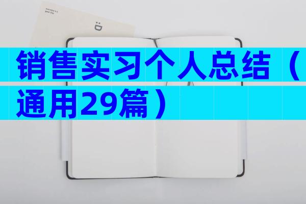 销售实习个人总结（通用29篇）