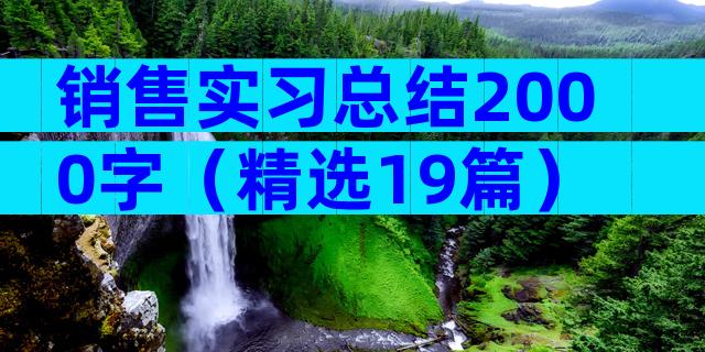 销售实习总结2000字（精选19篇）