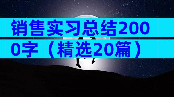 销售实习总结2000字（精选20篇）