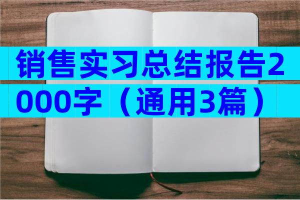 销售实习总结报告2000字（通用3篇）