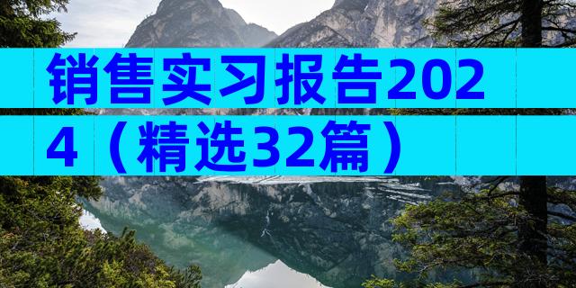 销售实习报告2024（精选32篇）