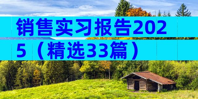 销售实习报告2025（精选33篇）