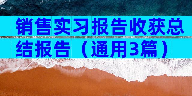 销售实习报告收获总结报告（通用3篇）