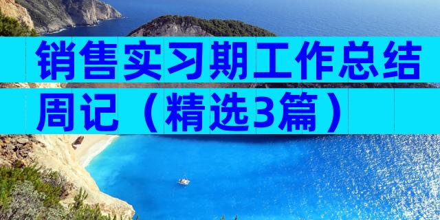 销售实习期工作总结周记（精选3篇）